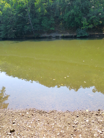 Photo of a dark river next to a forestの写真素材