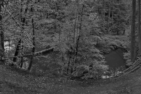 Peklo, Czech republic - October 16, 2021: autumnal Robecsky brook riverのeditorial素材