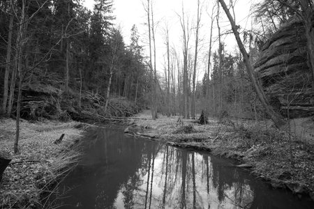 Peklo, Czechia - March 26, 2022: Robecsky potok creek in springのeditorial素材