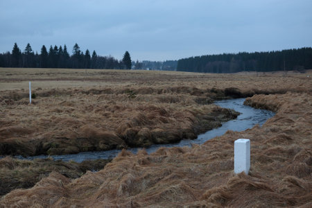 Reitzenhain, Germany - March 19, 2023: river as border between Germany and Czechia in Ore Mountainsのeditorial素材