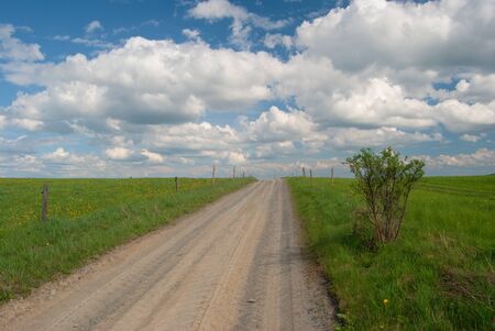 Field road in green meadow with blue sky and white nice cloudsの写真素材