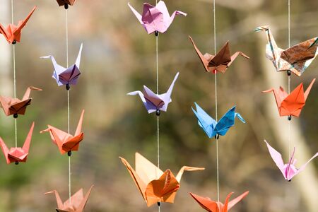 origami crane birds hanging on the threads in the garden oposit the sunの写真素材