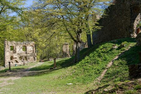 Ruins of the stone mediaval castle, walls, trees in the forestの写真素材