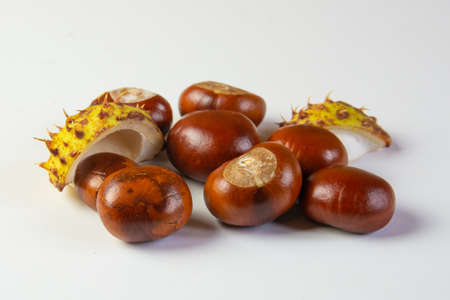 A few brown chestnuts with green peels isolated on blank backgroundの写真素材