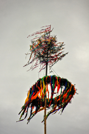 Maypole erected in central Bohemia. Czech Republic.の写真素材