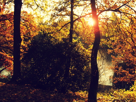 Sun and Parkの写真素材