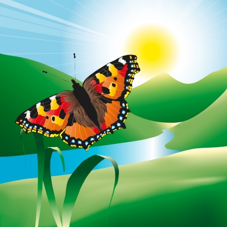 Butterfly in the landscapeのイラスト素材