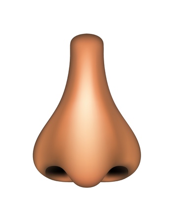 Human noseのイラスト素材