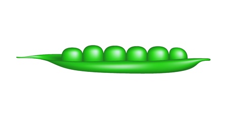 Fresh green pea podのイラスト素材