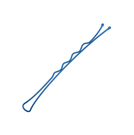 Hairclip のイラスト素材