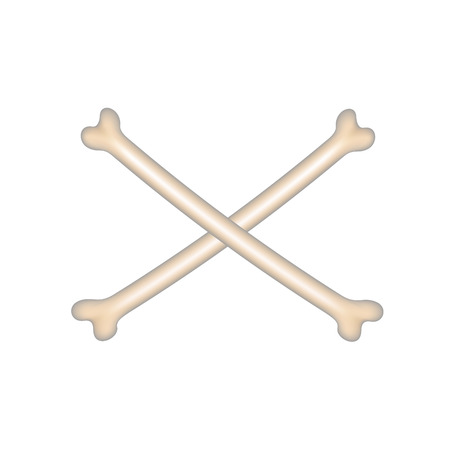 Two crossed bonesのイラスト素材