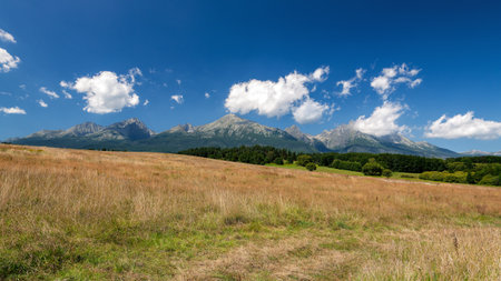 Summer nature - view of the Mountain High Tatras - Slovak Republic, Europeの写真素材