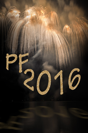 Wishes for 2016 with fireworks on the water, the possibility of typing in your own congratulations