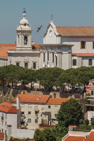 Church of Santa Engracia, Lisbon, Portugal and flying bird in foregrondの写真素材