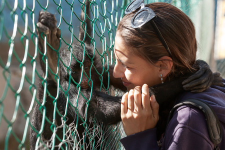 Portrait of a young woman playing and hugging spider monkey in ZOOの写真素材