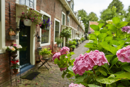 ZAANSE SCHANS, NETHERLANDS - JULY 01, 2017: Traditional housing and architecture at Zaanse Schans close to Amsterdam in Netherlands.のeditorial素材