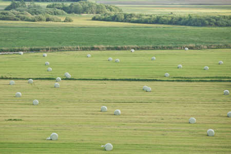Beautiful countryside landscape with fields and small river near Kiel - Schleswig-Holstein - Germany.の写真素材