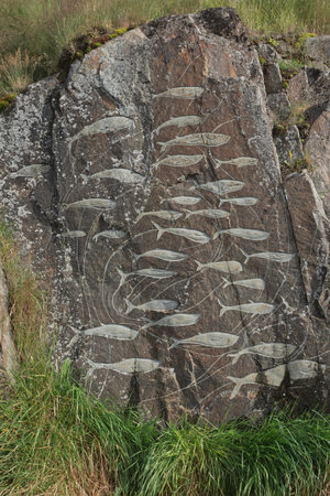 Images of whales chiseled into rocks, Qaqortoq Greenland.の写真素材