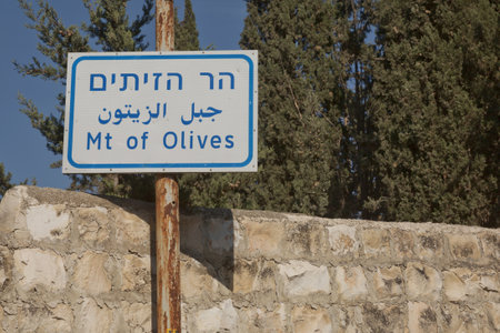 Direction sign that shows the way for the Mount of Olives in Jerusalem, Israel in three languages.の写真素材