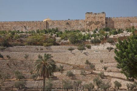 Terraces of the Kidron Valley and the the wall of the Old City in Jerusalem in Israel.の写真素材