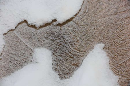 Abstract pattern detail of frozen trunk covered by snow.の写真素材