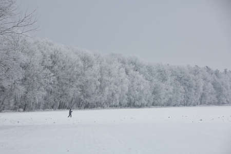 Gorgeous winter landscape with snow and fog, Pardubice, Czech republic.の写真素材