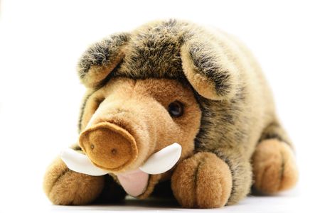 pig toy