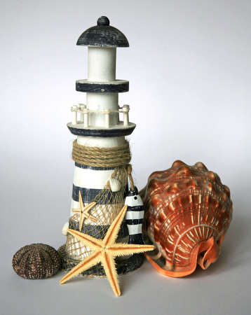 Marine still - lifeの写真素材