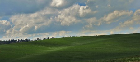 field