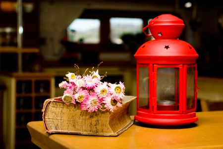 Domestic still life  old book,died flower and red lamp.の写真素材