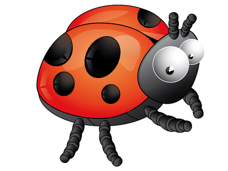 Ladybirdのイラスト素材