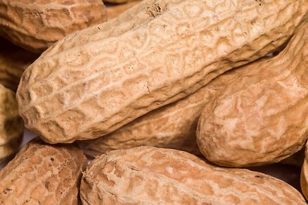 closeup of a lot of peanuts