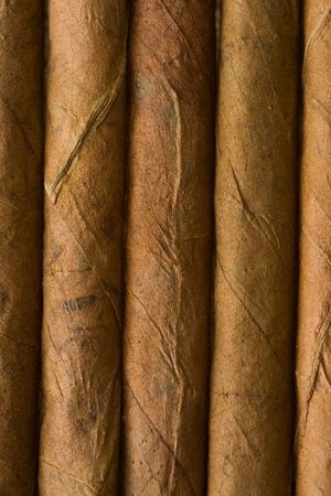 the detail of cuban cigarの写真素材