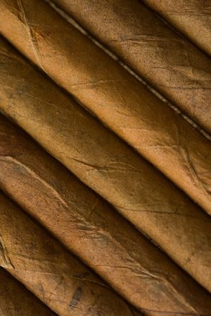 the detail of cuban cigar