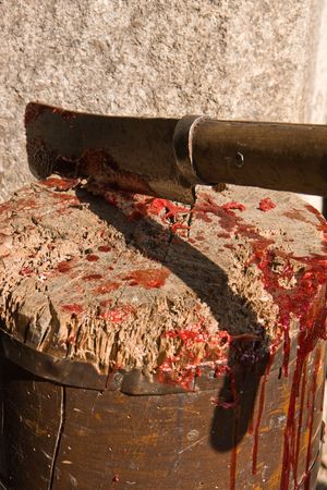 bloody axe in meat-blockの写真素材