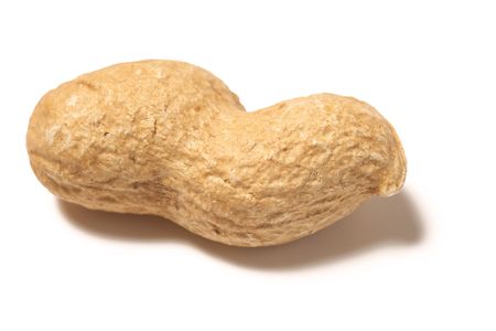 the peanut on white backgroundの写真素材