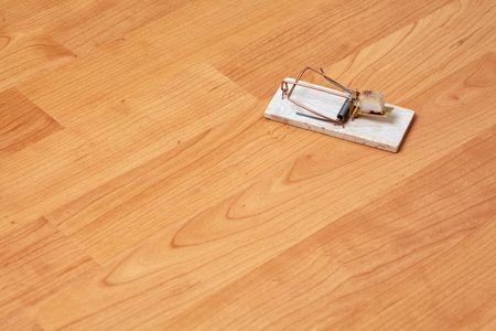 the mousetrap on wooden backgroundの写真素材