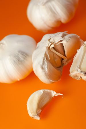 the white garlic on orange backgroundの写真素材