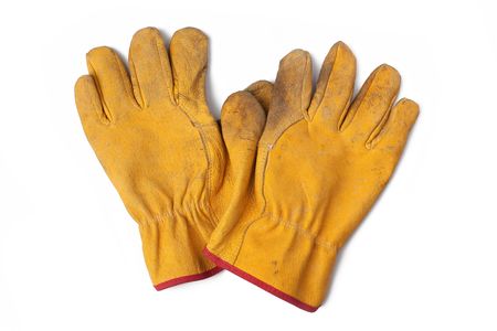 the used leather workgloves on white backgroundの写真素材