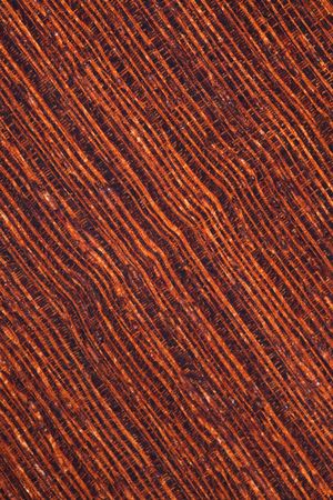 the background of wenge tropical timberの写真素材