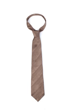 brown tie on white backgroundの写真素材