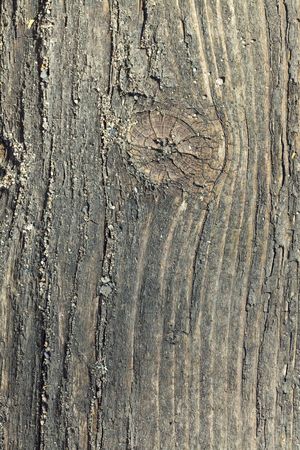 photo shot of wooden backgroundの写真素材
