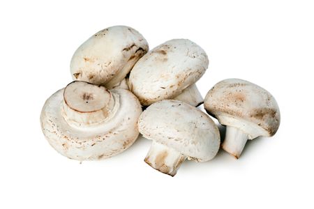 the mushrooms on a white backgroundの写真素材
