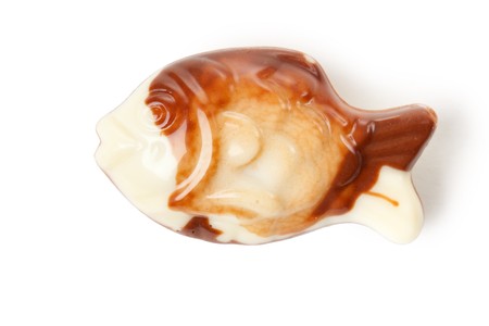 chocolate seashells on white backgroundの写真素材