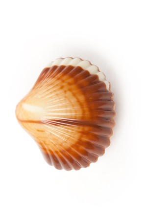 chocolate seashells on white backgroundの写真素材