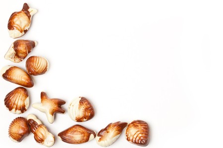 chocolate seashells on white backgroundの写真素材
