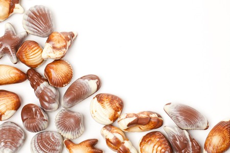 chocolate seashells on white backgroundの写真素材