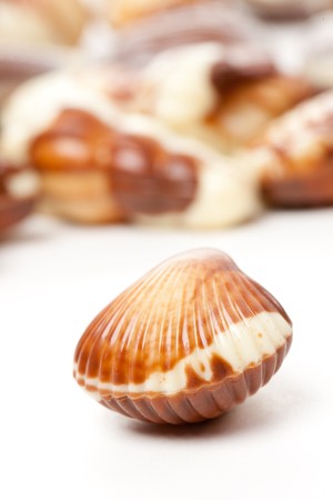chocolate seashells on white backgroundの写真素材