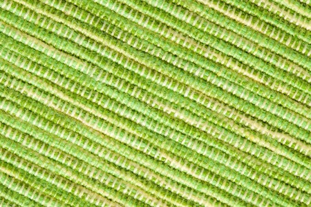 photo shot of texture of green placematsの写真素材