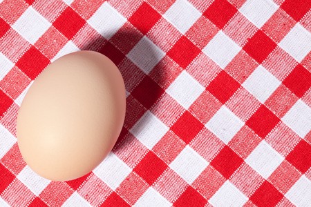 egg on picnic tableclothの写真素材